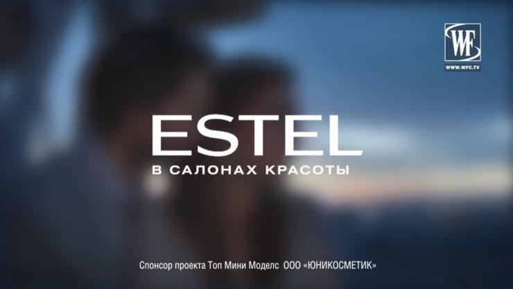 Спонсорская интеграция:</br>ESTEL